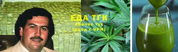 индика Надым