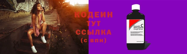 индика Надым