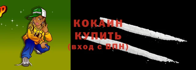 индика Надым