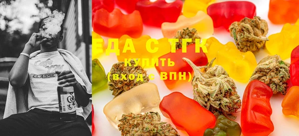индика Надым