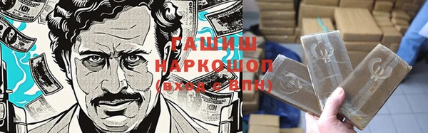 индика Надым