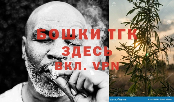 индика Надым