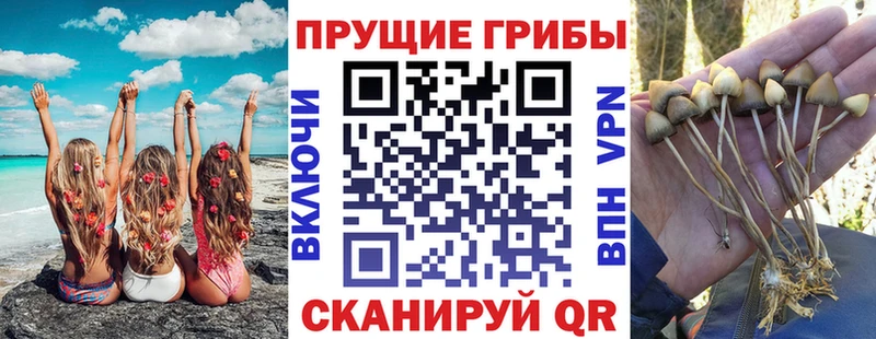 Галлюциногенные грибы Magic Shrooms  KRAKEN зеркало  Ясногорск 